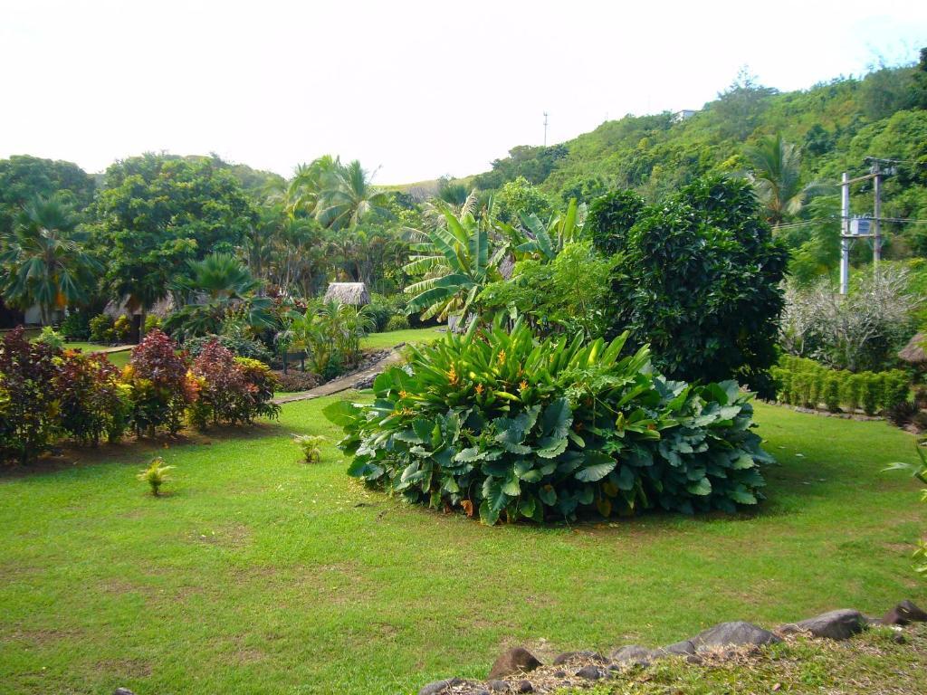 Gecko'S Resort Sigatoka Exterior foto